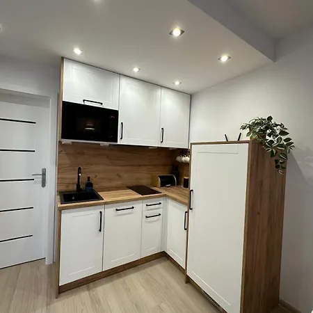Modrzewiowa Enklawa Apartament *