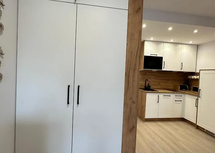 Modrzewiowa Enklawa Apartament Rowy (Pomerania)