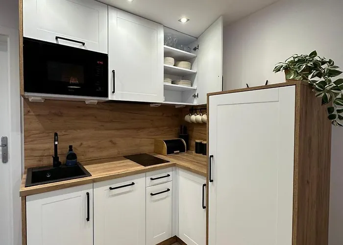 Modrzewiowa Enklawa Apartament